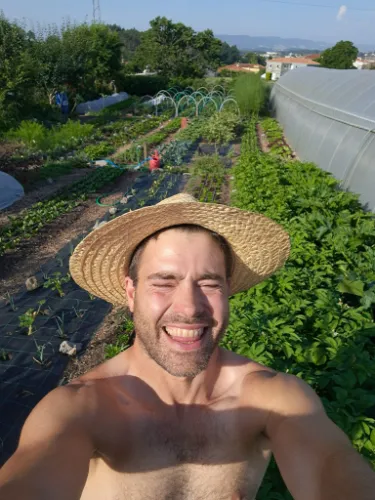 imagem da horta, produtos ou em trabalho