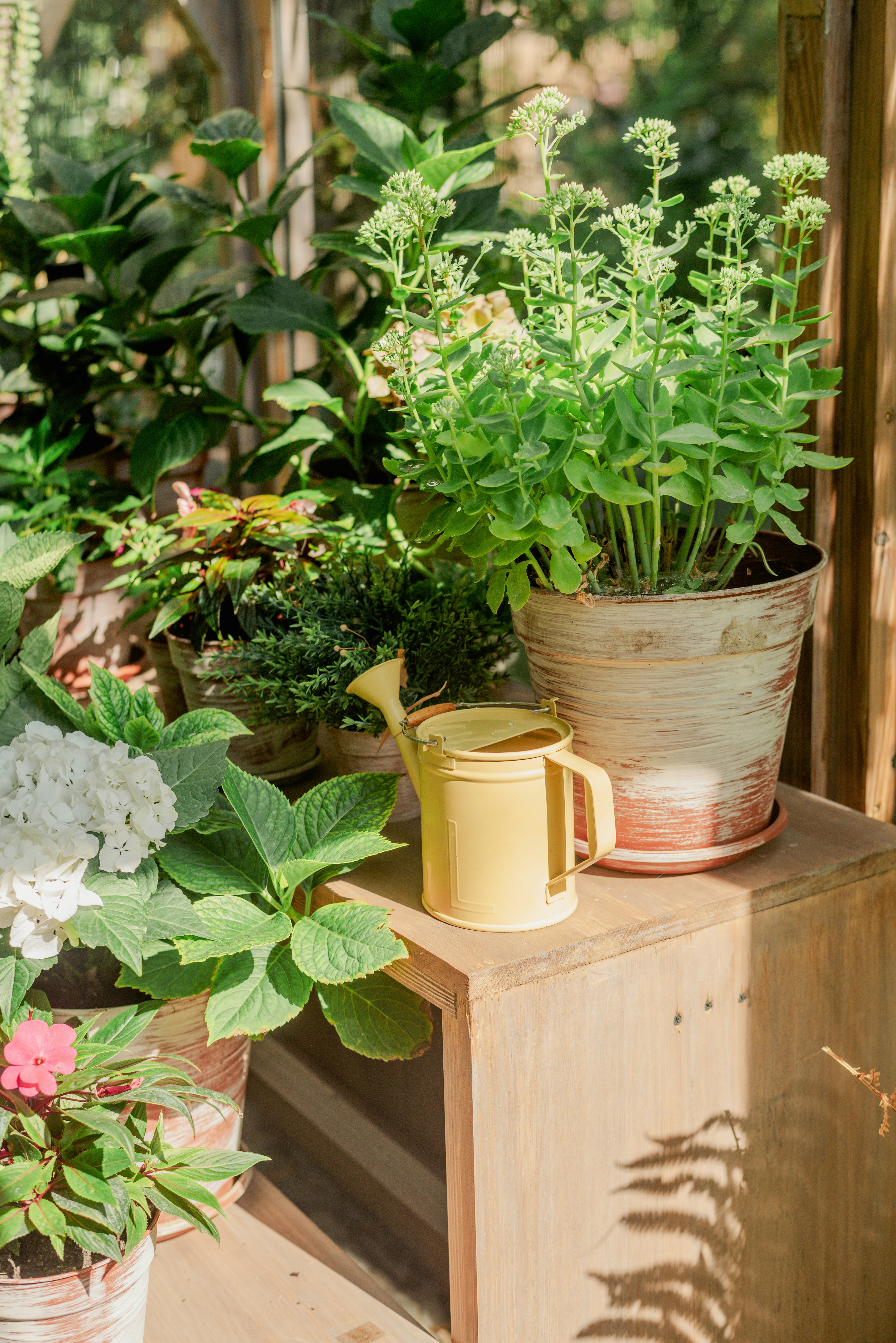 https://unsplash.com/pt-br/fotografias/um-par-de-plantas-em-vaso-sentando-se-em-cima-de-uma-mesa-de-madeira-51C7VX9WNYE?utm_content=creditCopyText&utm_medium=referral&utm_source=unsplash