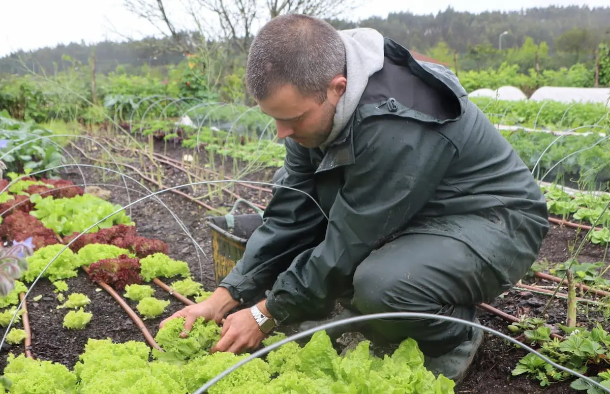 Tiago e a trabalhar na horta